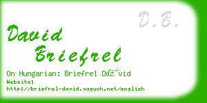 david briefrel business card